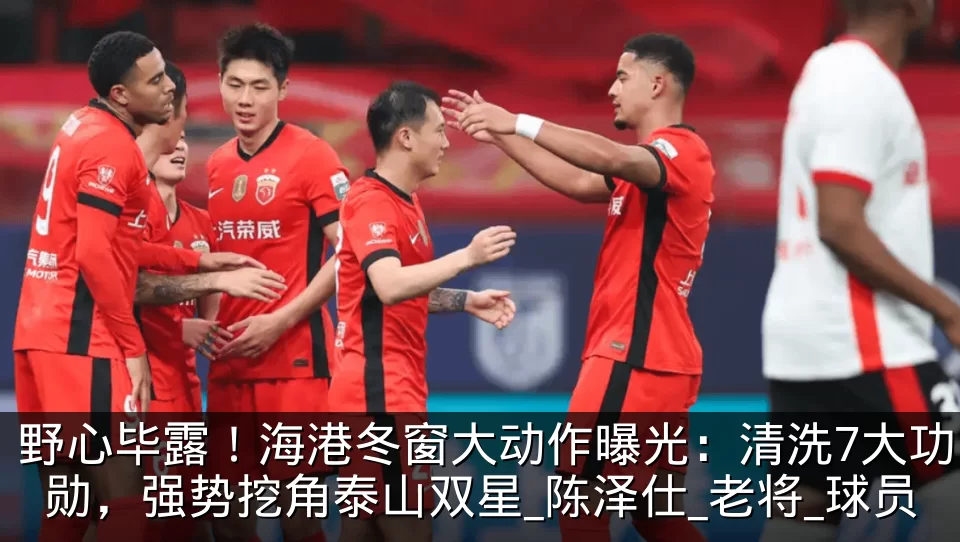 野心毕露!海港冬窗大动作曝光:清洗7大功勋,强势挖角泰山双星_陈泽仕_老将_球员